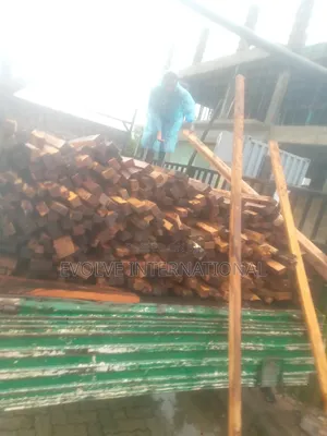 2 by 3 2 by 4 Roofing Woods