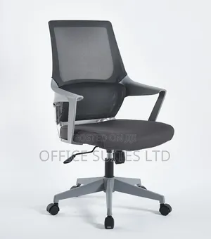 Grey/White Swivel Egornomic Mesh