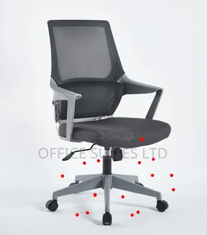 Grey/White Swivel Egornomic Mesh