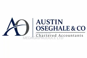 Austin Oseghale Co (Chartered Accountants)