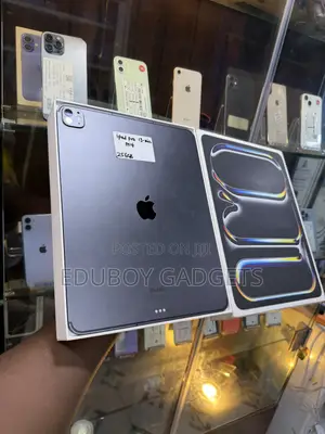 Apple iPad Pro 13 (2024) 256 GB Gray