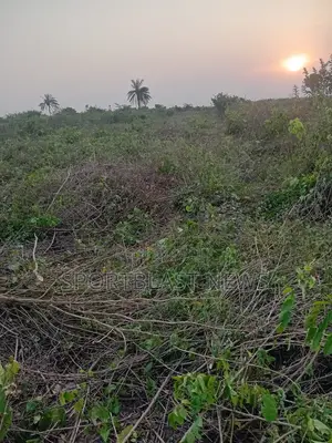 1 Acre of Land at Ileayo Phase 2 Estate, Along Isiwo/Igbodu Pipeline