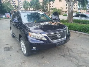 Lexus RX 2010 Blue