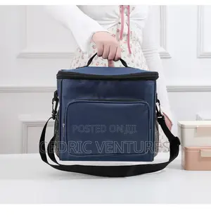Portable Insulated Lunch Bag