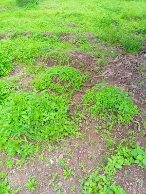 1,832sqm Residential Land at Ajah