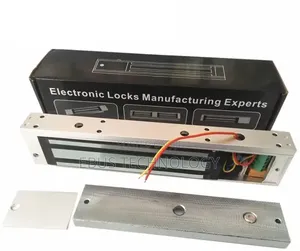 Electronic Locks Manufacturing Experts