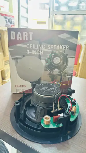 Ceiling Speakers 100w