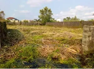 Lands and Properties