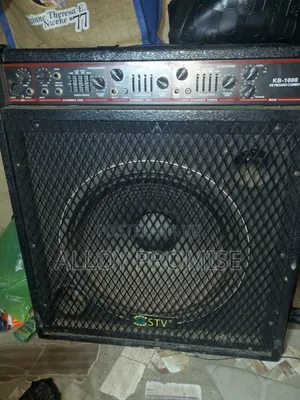 Combo Speaker
