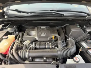 Lexus NX 2022 Gray
