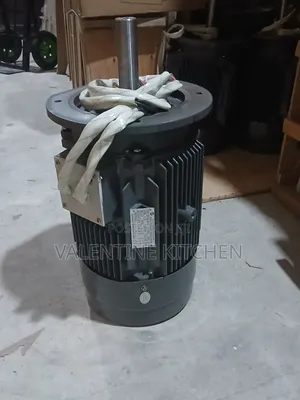 Two Bag Electric Motor