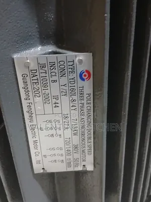 Two Bag Electric Motor