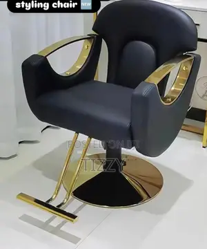 Saloon::Barber Chair