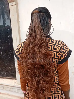 Braided Wig