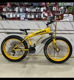 Hero Fat Tire Bicycle