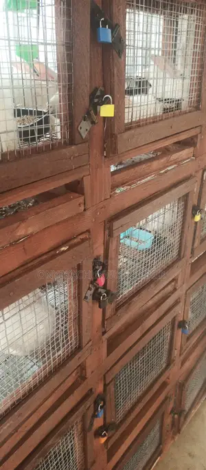 Animal Cage for Rabbits , Chicken and Other Pets