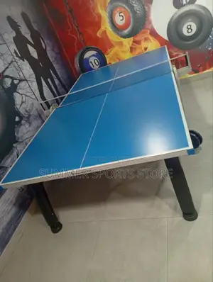 Exquisite Table Tennis Board