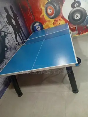 Outdoor Table Tennis Board