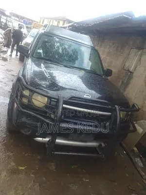 Nissan Xterra 2013 Gray