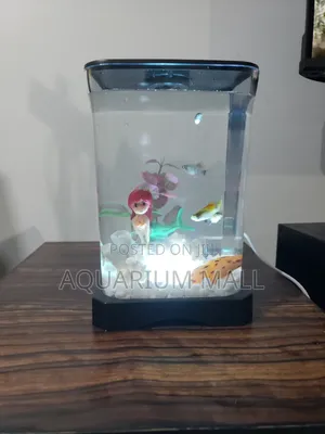 Mini Aquarium