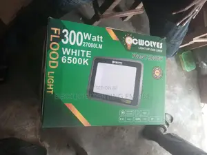 Quality 300w Flood Light Electric Use