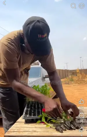 Farm Seed Tray 200 / 128
