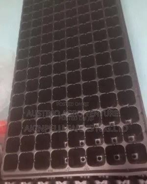 Farm Seed Tray 300 / 250 Holes
