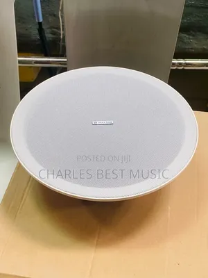Celling Speaker