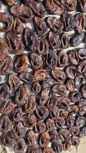 Smoke/Dried Catfish