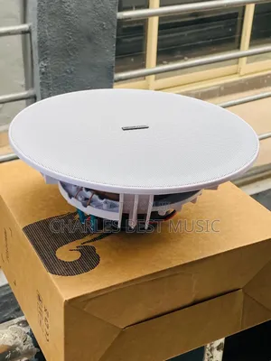 Celling Speaker 30watt
