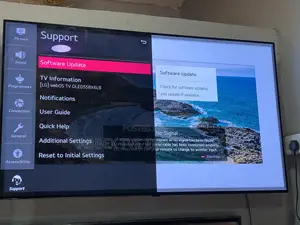 55 Inches Lg Oled