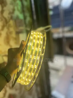 Wormwhite Rope Light(45mtrs)