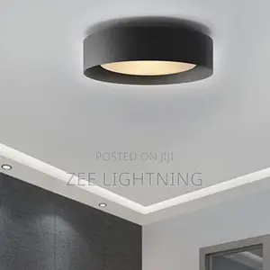 Minimalist Modern Ceiling Fittings