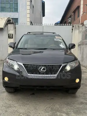 Lexus RX 350 2010 Gray