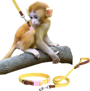 Monkey Pet Leash For Strolling,