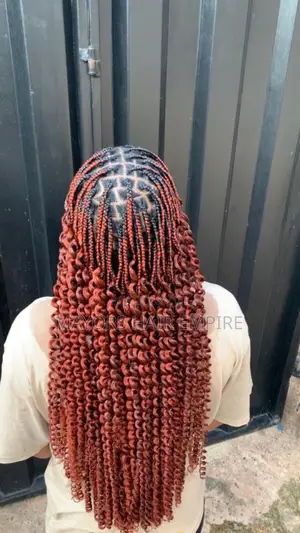 A Professional Hairstylist Skilled in Braiding All Sorts