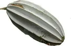 Ugu Seeds for Sale