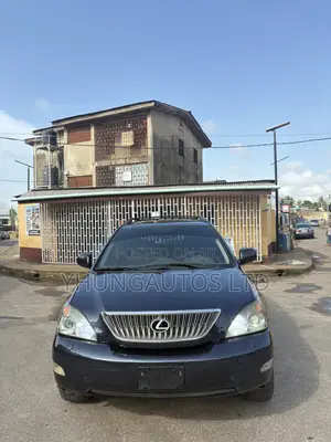 Lexus RX 330 4WD 2005 Gray