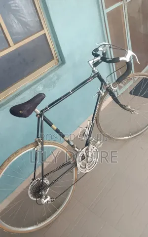 Adult Bicycle