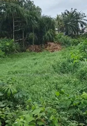 100 by 50 Land for Sale Off Jakpa Road