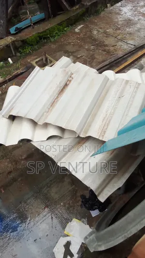 Roof Leakage