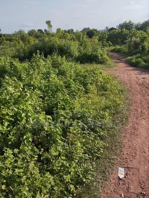 8 Acres for Sale Behind Iseyin College of Health, Iseyin Oyo Exp Way