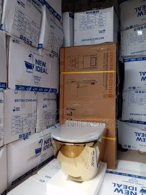 High Quality Gold New Idea Conseal Shower
