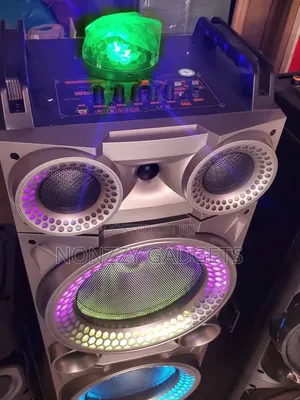 Party Speaker