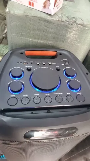 Party Speaker