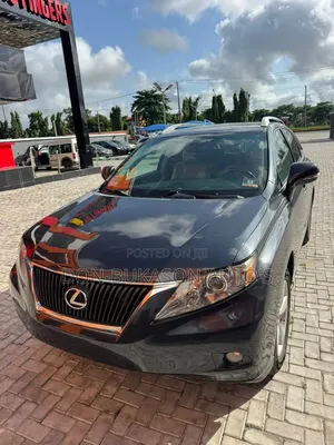 Lexus RX 2010 Gray