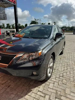 Lexus RX 2010 Gray