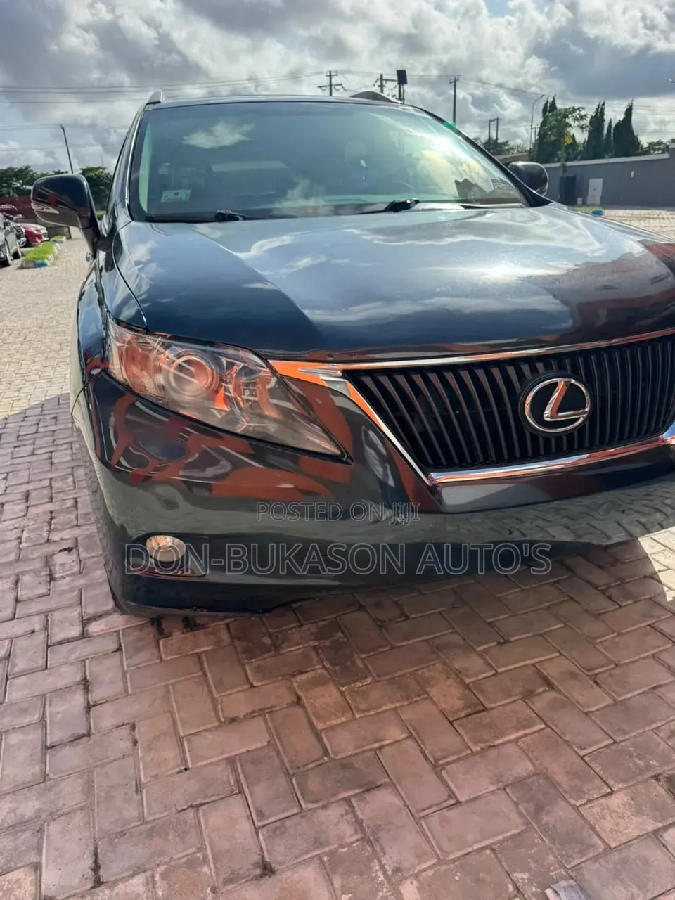 Lexus RX 2010 Gray