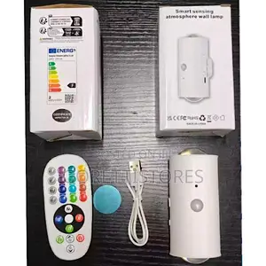 Smart Motion Sensor Wall Led Light With Remote