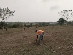 Land and Property